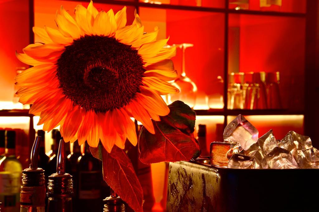 Eurhotel Florence Ngoại thất bức ảnh